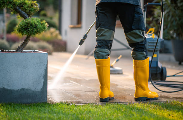 Best Power Washing Near Me  in Oak Grove, TN